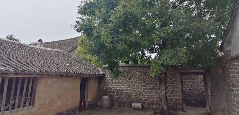 休闲鞋市场新风向，批发选择尽在其中
